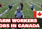 Apply Now: Farm Worker Jobs In Canada With Visa Sponsorship