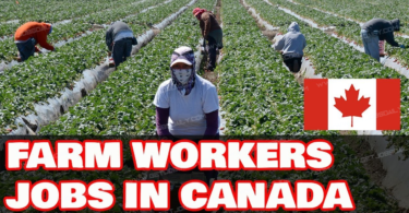 Apply Now: Farm Worker Jobs In Canada With Visa Sponsorship